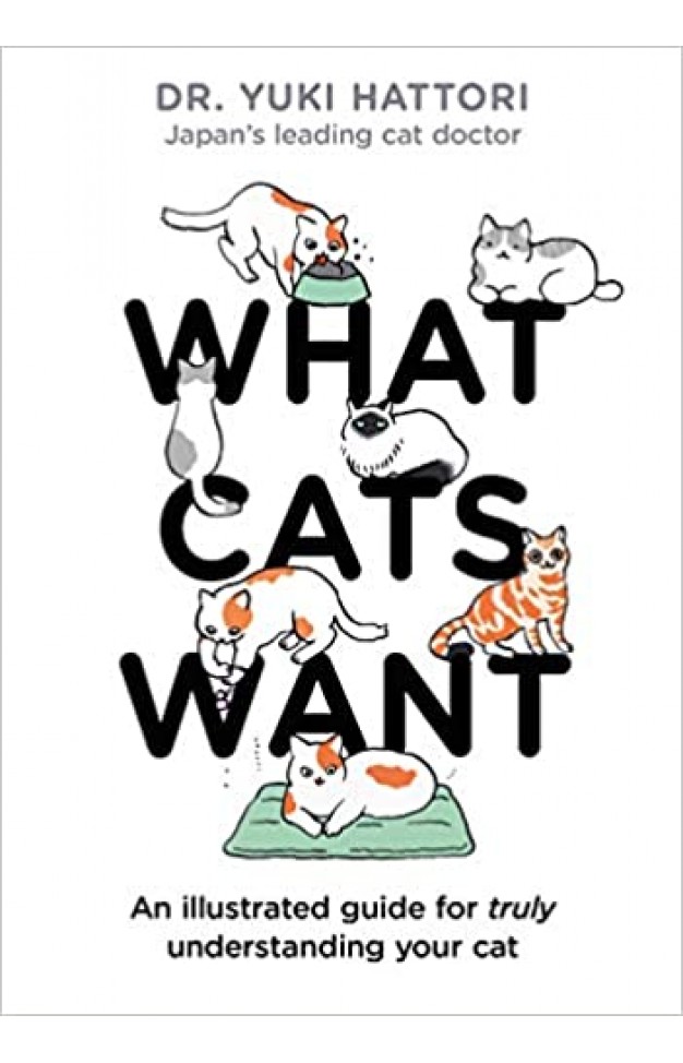 What Cats Want: An illustrated guide for truly understanding your cat
